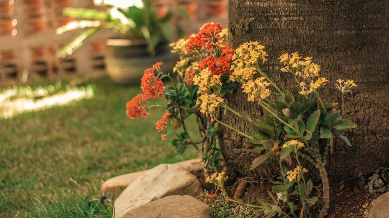 Chales Terraviva Pirenópolis エクステリア 写真